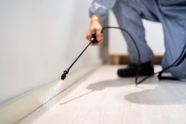 Licensed Pest Control service in Arlington, WA - Show Me Pest Control